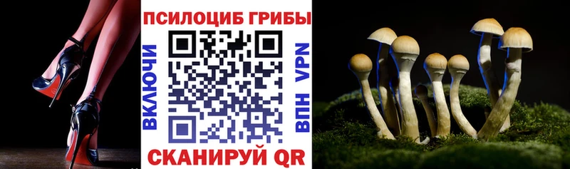 Псилоцибиновые грибы мицелий  купить   блэк спрут вход  Сыктывкар 